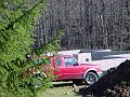 Truck, foundation, and trees